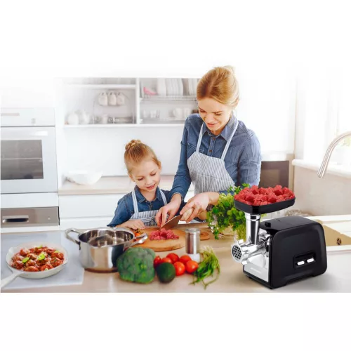 Mașină de tocat carne BD-601A Berdsen 450/1200W
