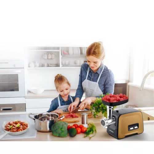 Mașină de tocat carne BD-601B Berdsen 450/1200W