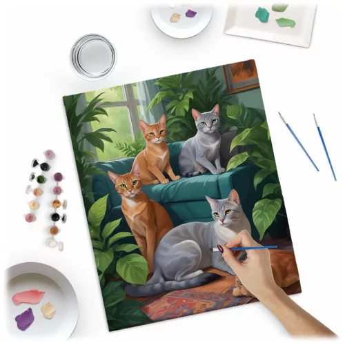 Pictură pe numere 40x50 cm Pisici Massido