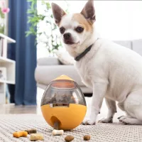 Accesorii pentru păstrarea animalelor de companie